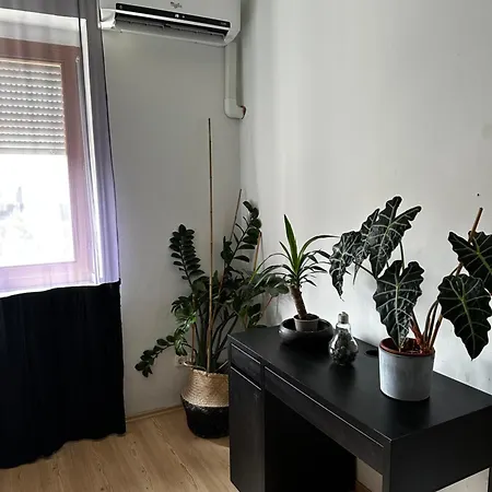City Center Apartman Gyor Exterior photo